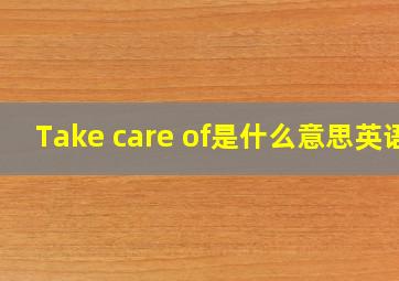 Take care of是什么意思英语